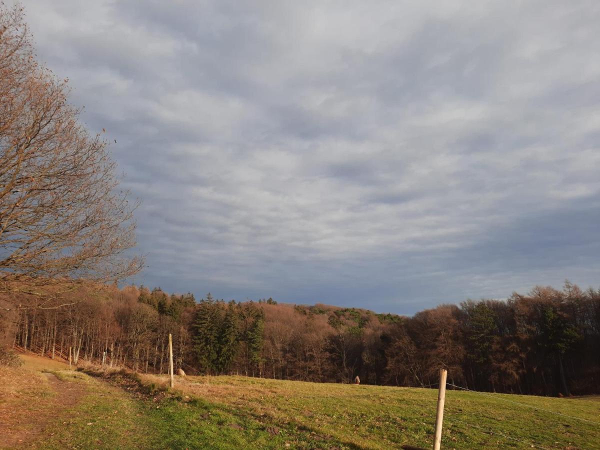 Erholungsheim Im Wienerwald Irenental Extérieur photo