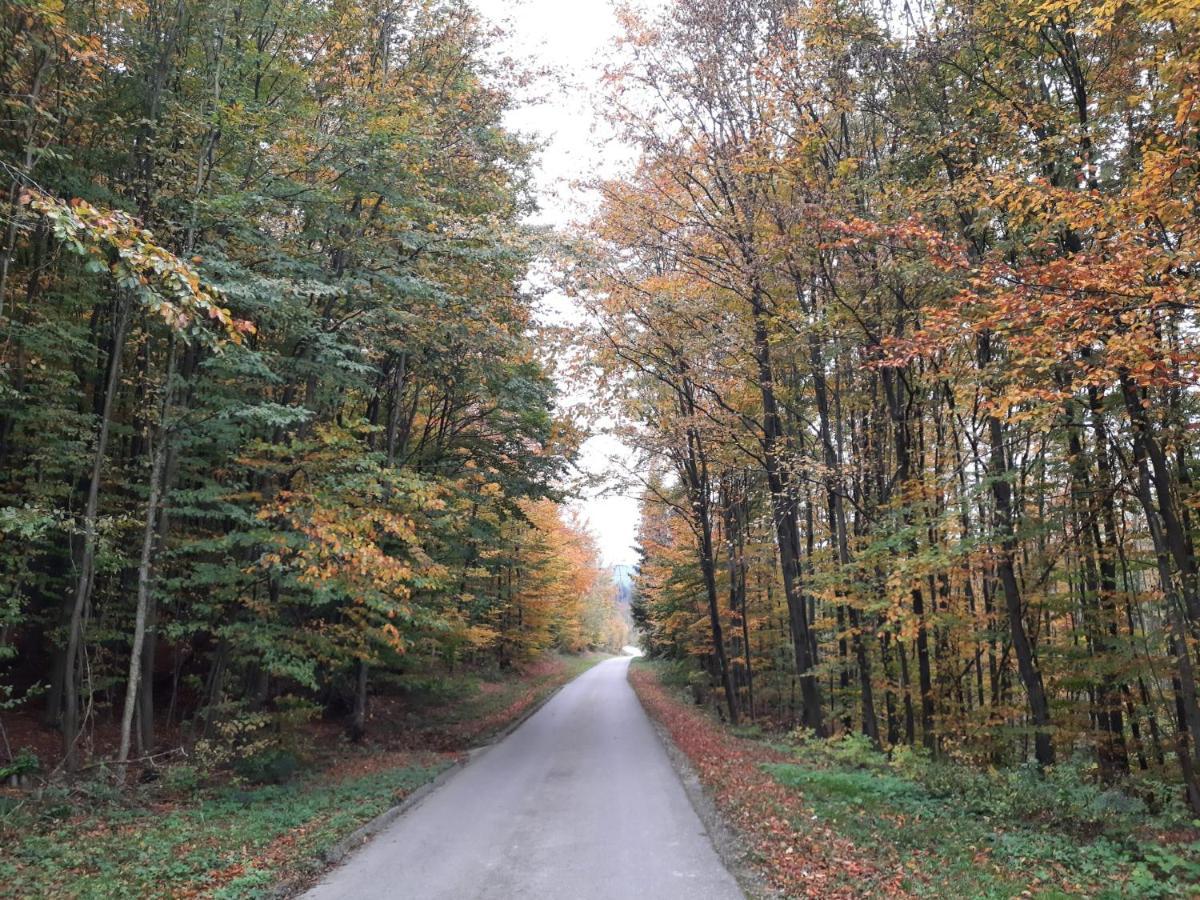 Erholungsheim Im Wienerwald Irenental Extérieur photo